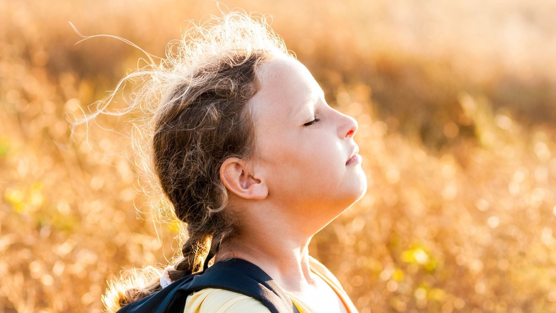 what is the connection between scents and memories?