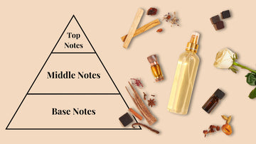 scent notes pyramid