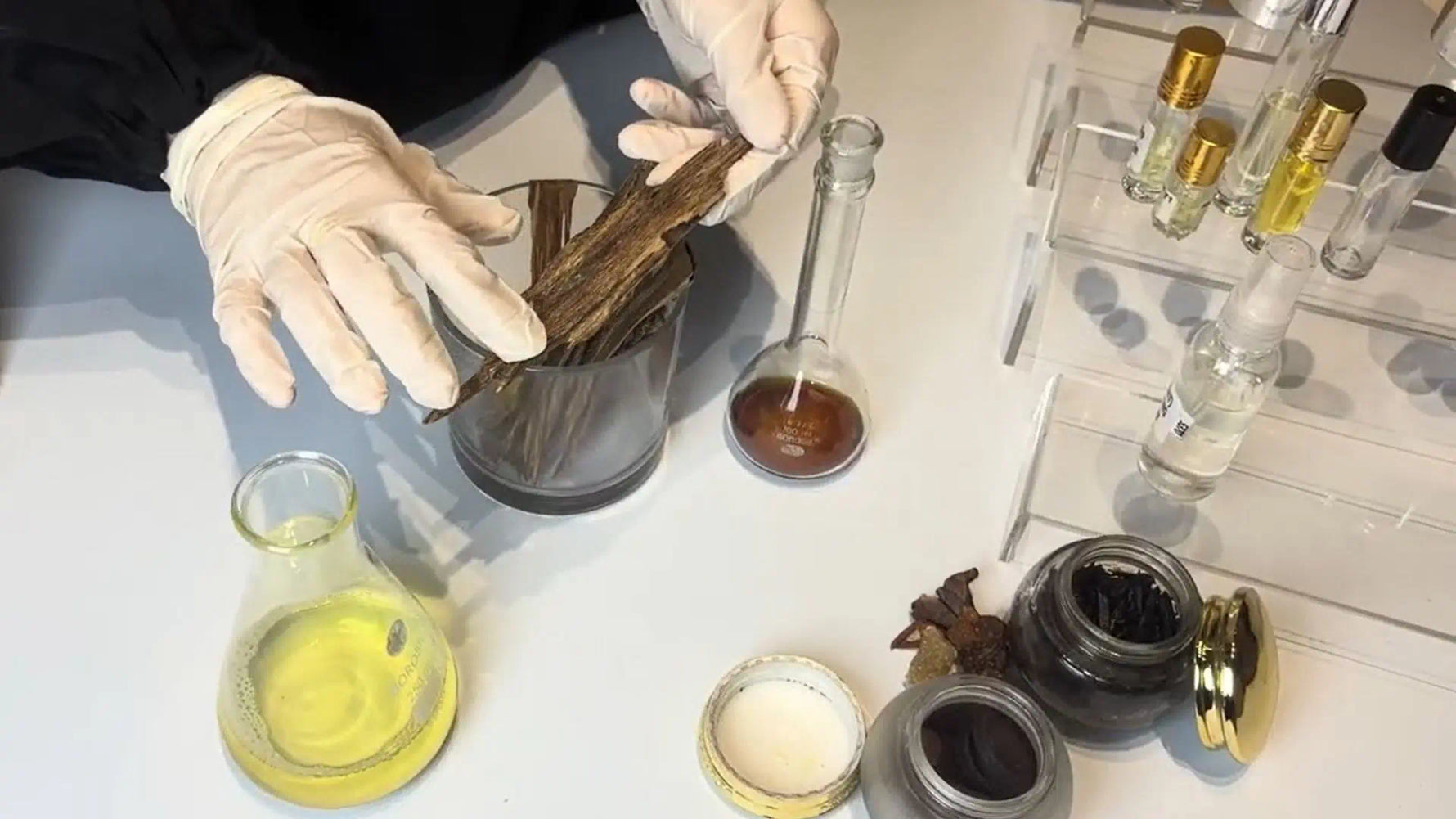 Sustaiably sourced agarwood - CA